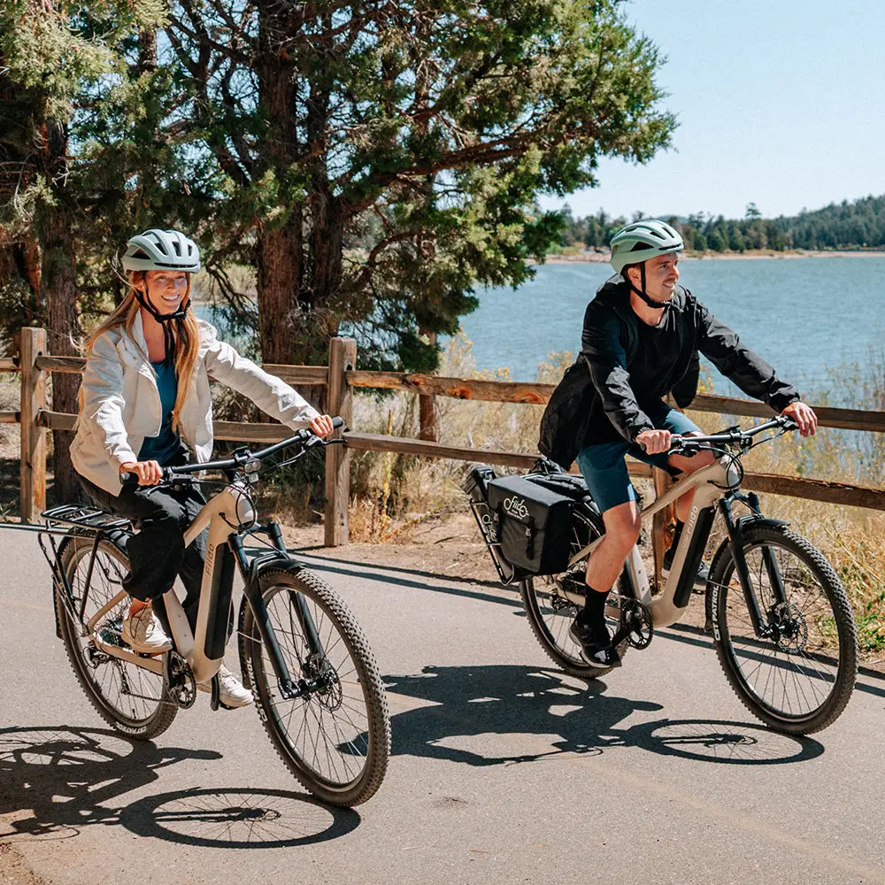 Fiido Nomads Touring Electric Bike