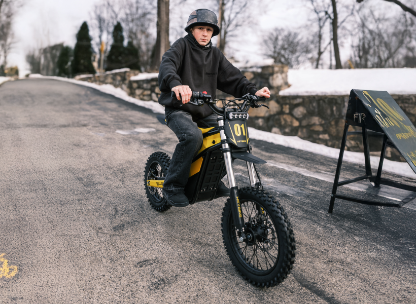 Heybike Electric Dirt Bike
