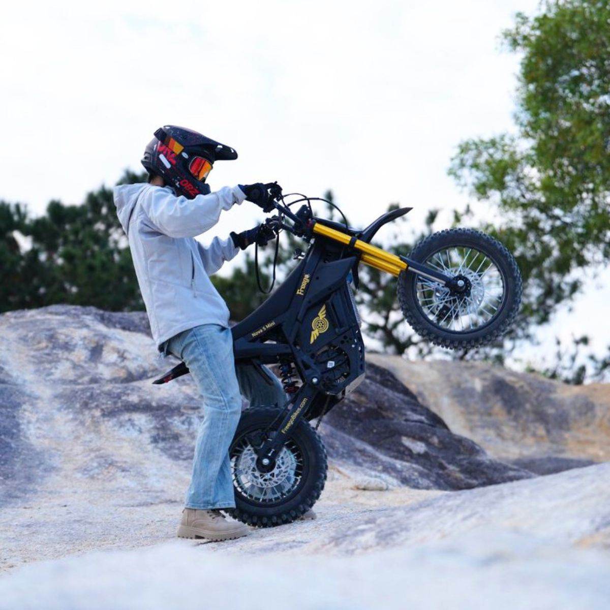 Freego Nova 5 Mini Ebike for Teens and Adults