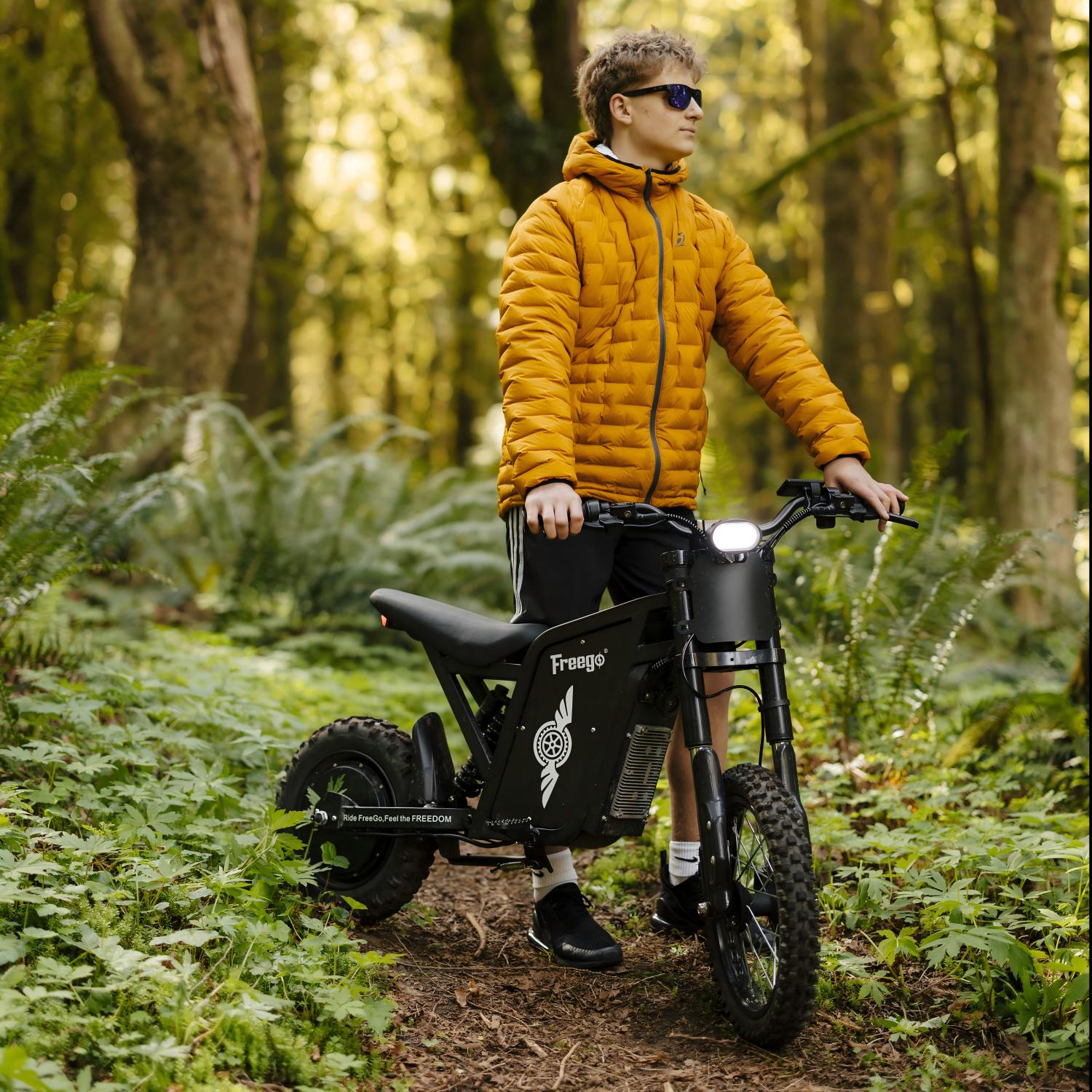 Freego X0 Electric Mini Bike for Teens and Adults
