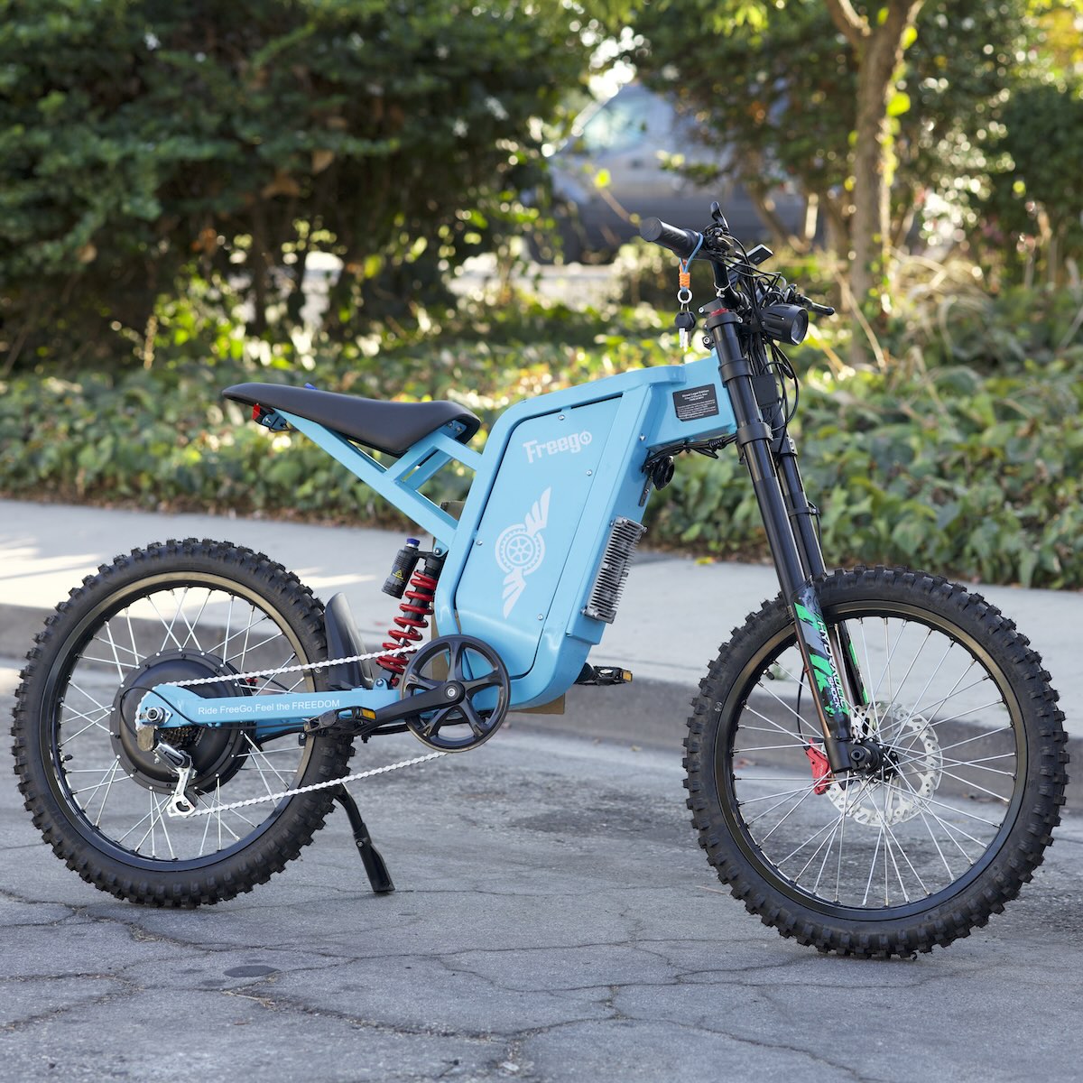 Freego X2 Pro All-Terrain Dirt eBike
