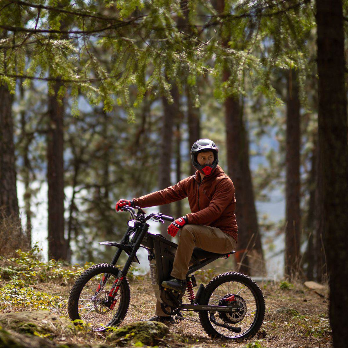 Freego X2 Pro All-Terrain Dirt eBike
