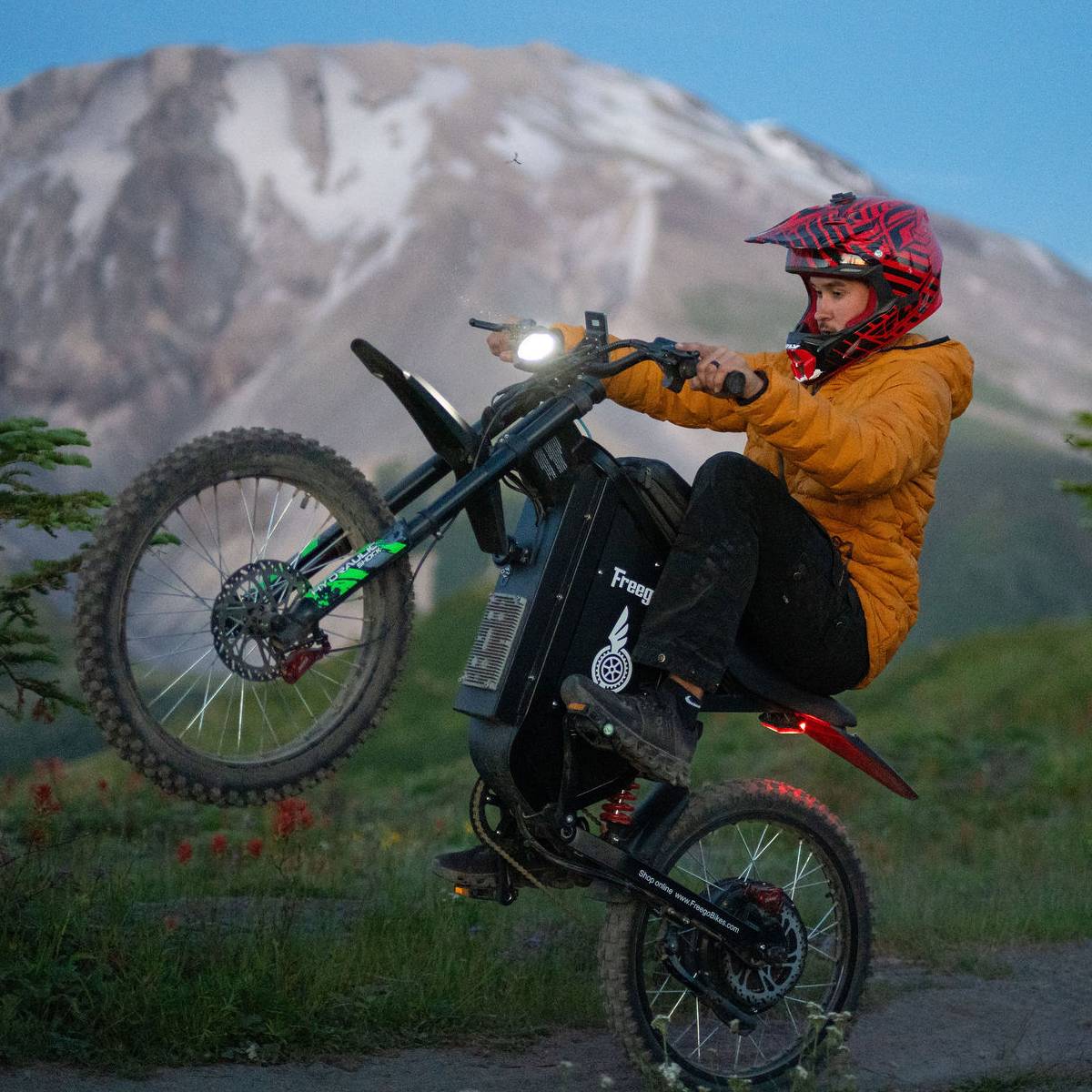 Freego X3 / X3 Pro All-Terrain Electric Dirt Bike with Pedals