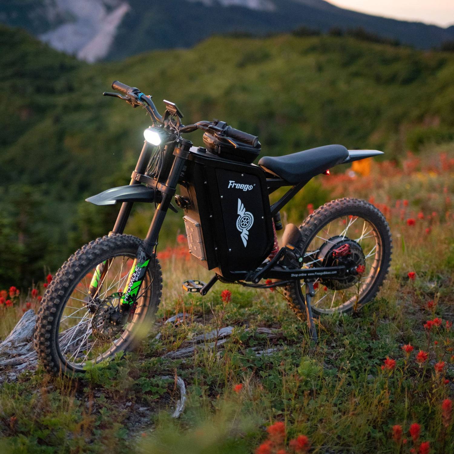 Freego X3 / X3 Pro All-Terrain Electric Dirt Bike with Pedals