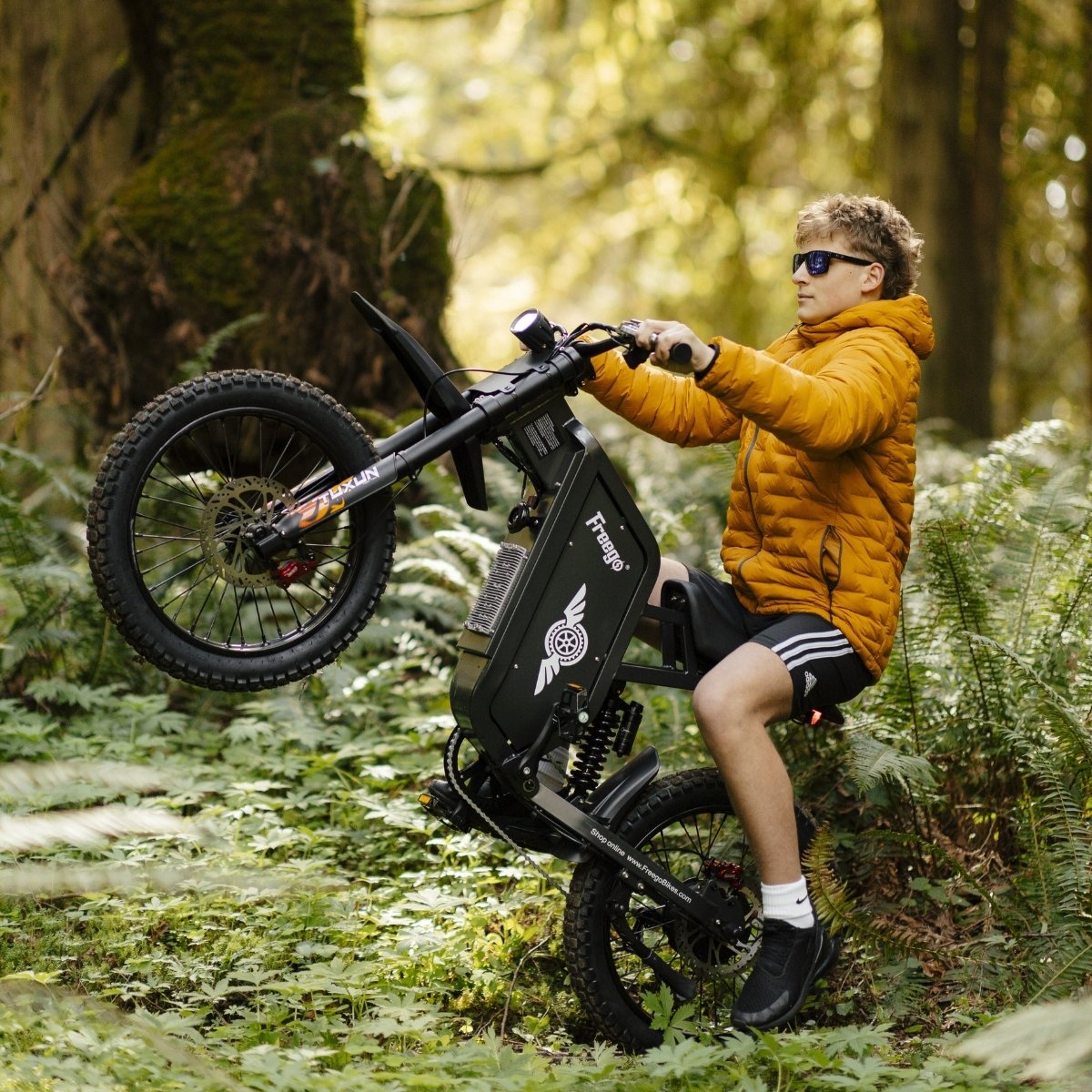 Freego X1 Series Agile All-Terrain Electric Dirt Bikes with Pedals