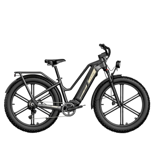 Fiido Titan Fat-Tire Touring Electric Bike