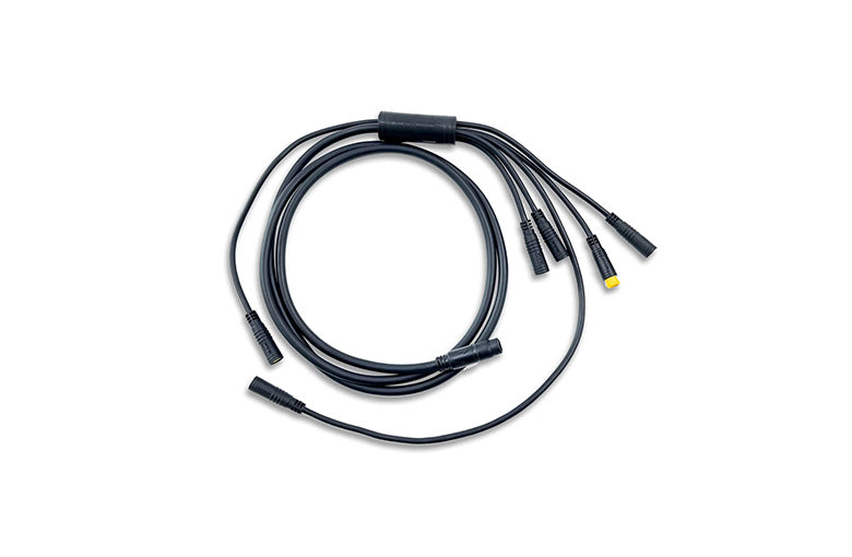 Main Cable