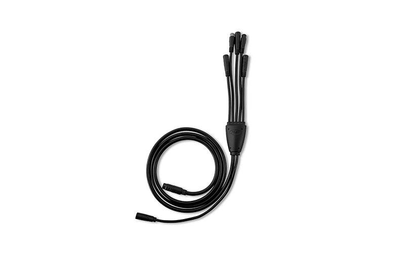 Main Cable
