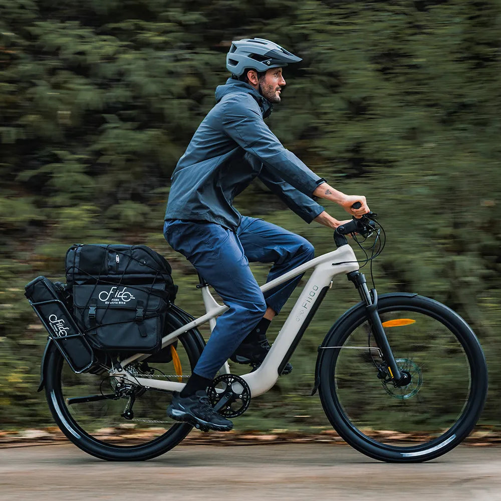 Fiido Nomads Touring Electric Bike