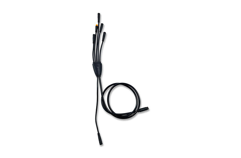 Main Cable