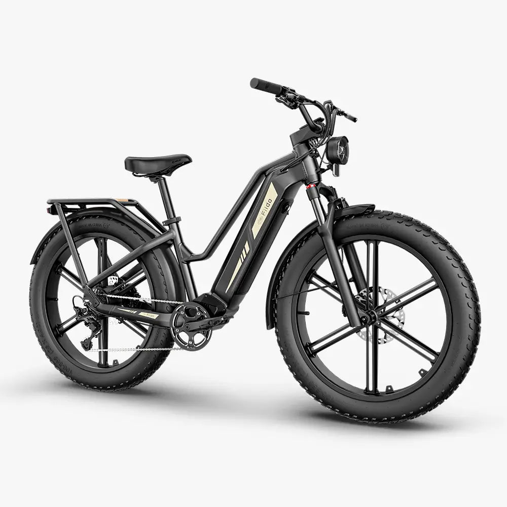 Fiido Titan Fat-Tire Touring Electric Bike
