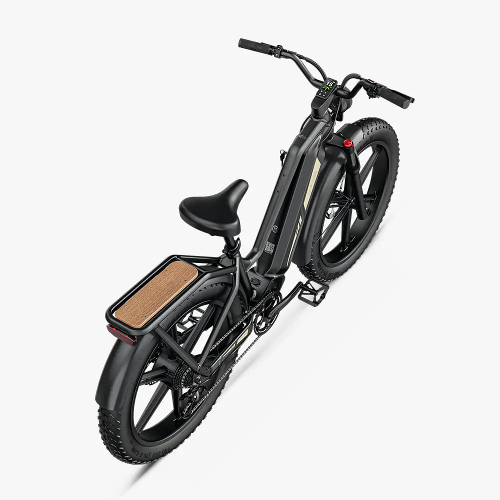 Fiido Titan Fat-Tire Touring Electric Bike