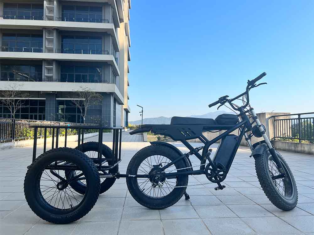 Freego Flash F3 Pro Max Dual Motor and Battery eBike