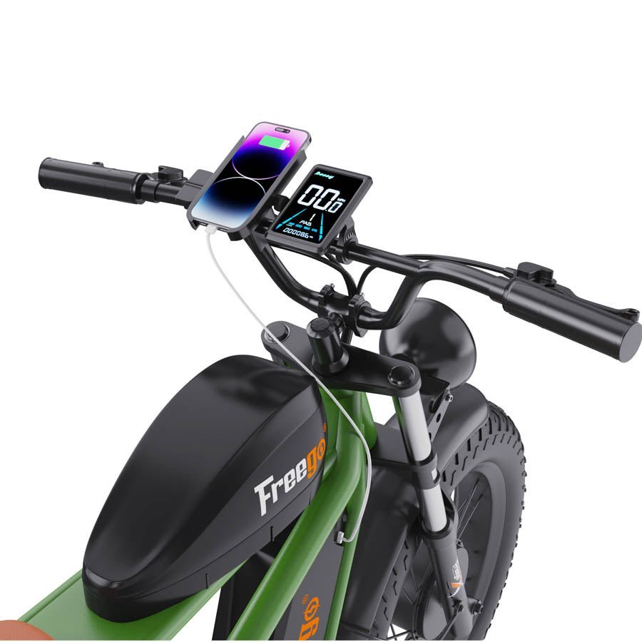 Freego Flash F3 Pro Max Dual Motor and Battery eBike