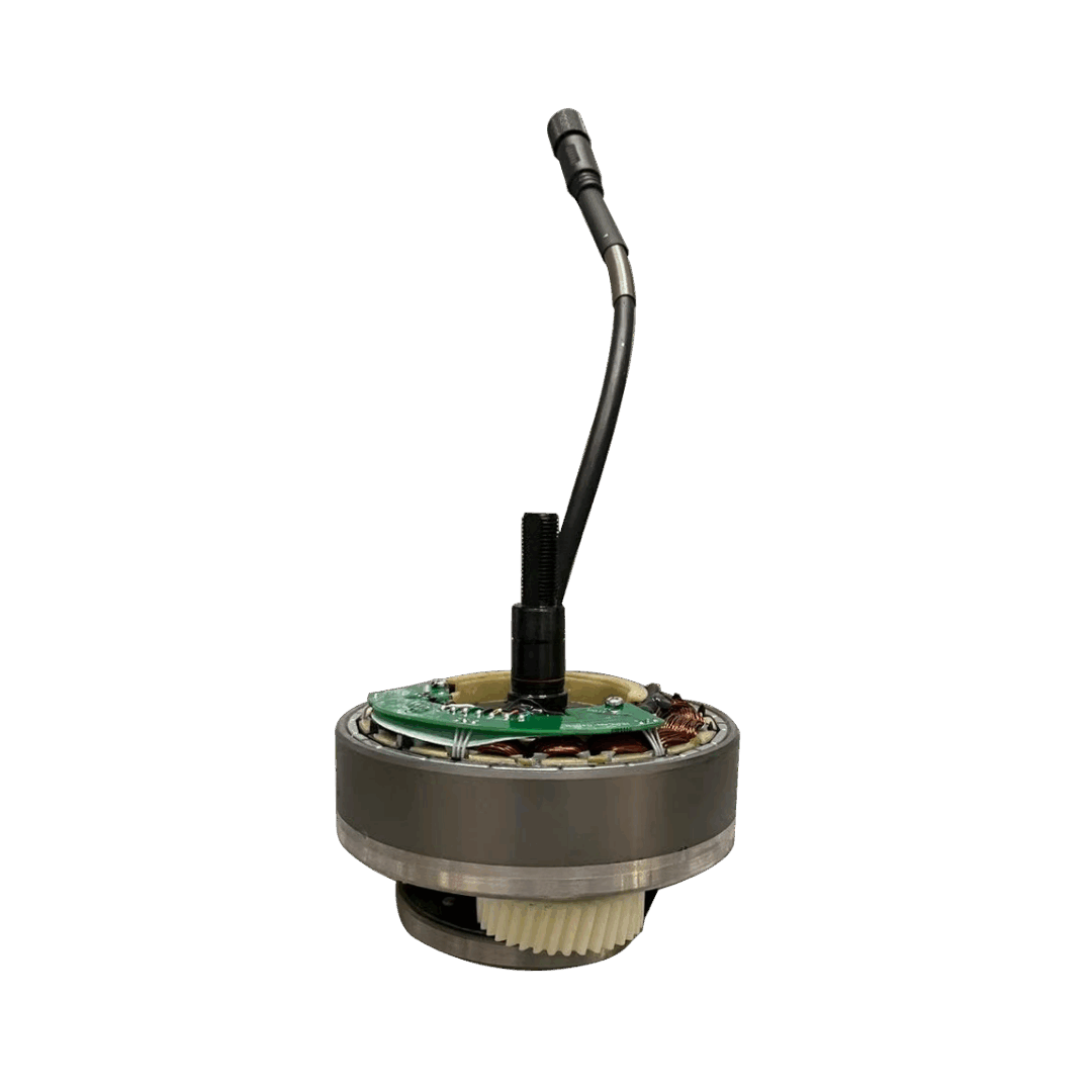 Freego Electric Bike Brushless Motor