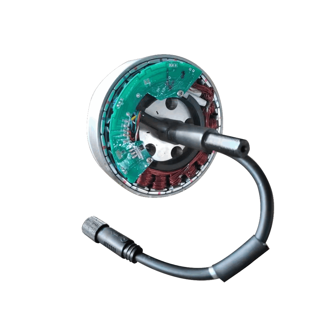 Freego Electric Bike Brushless Motor