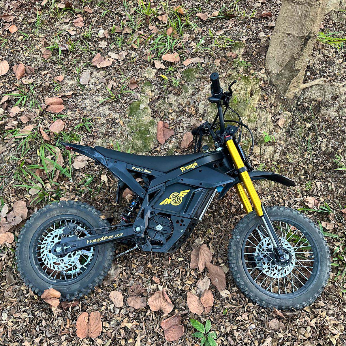 Freego Nova 5 Mini Ebike for Teens and Adults