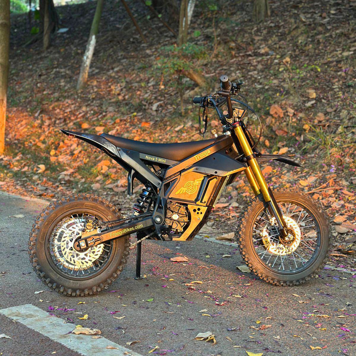 Freego Nova 5 Mini Ebike for Teens and Adults