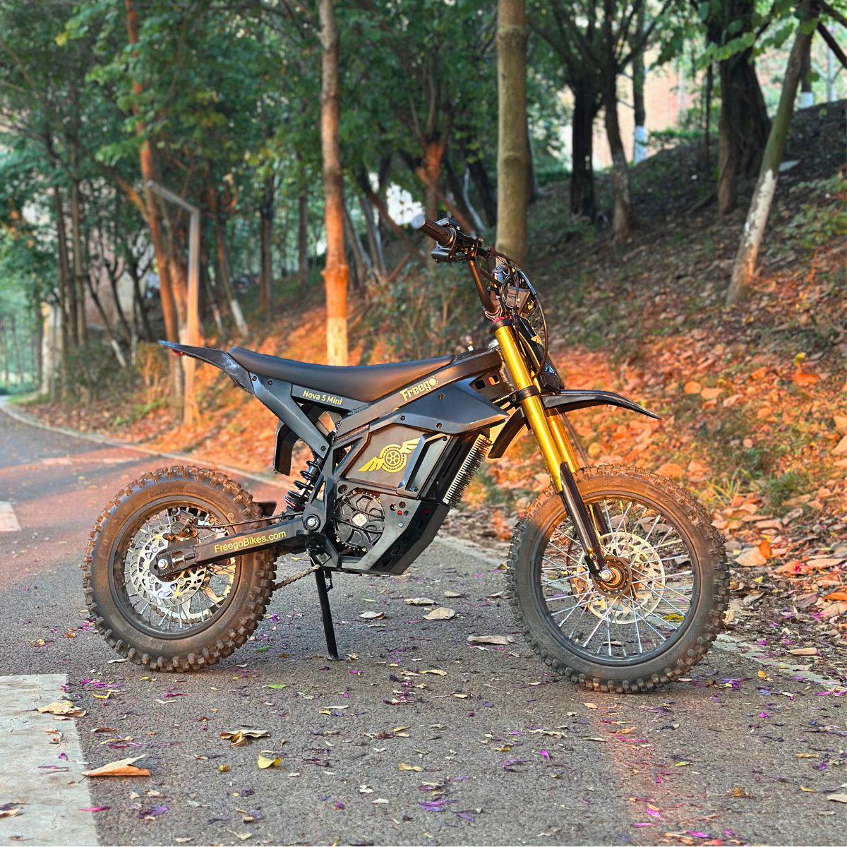 Freego Nova 5 Mini Ebike for Teens and Adults