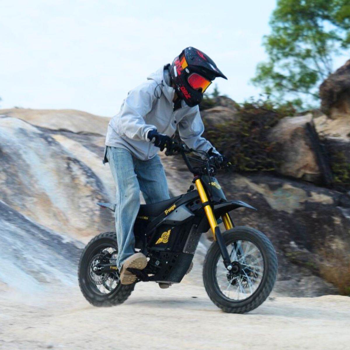 Freego Nova 5 Mini Ebike for Teens and Adults