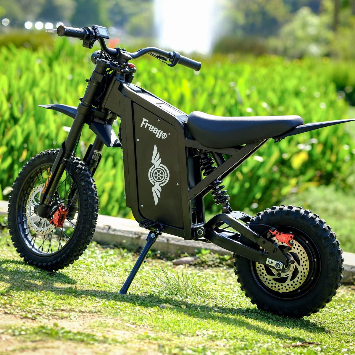 Freego X0 Electric Mini Bike for Teens and Adults