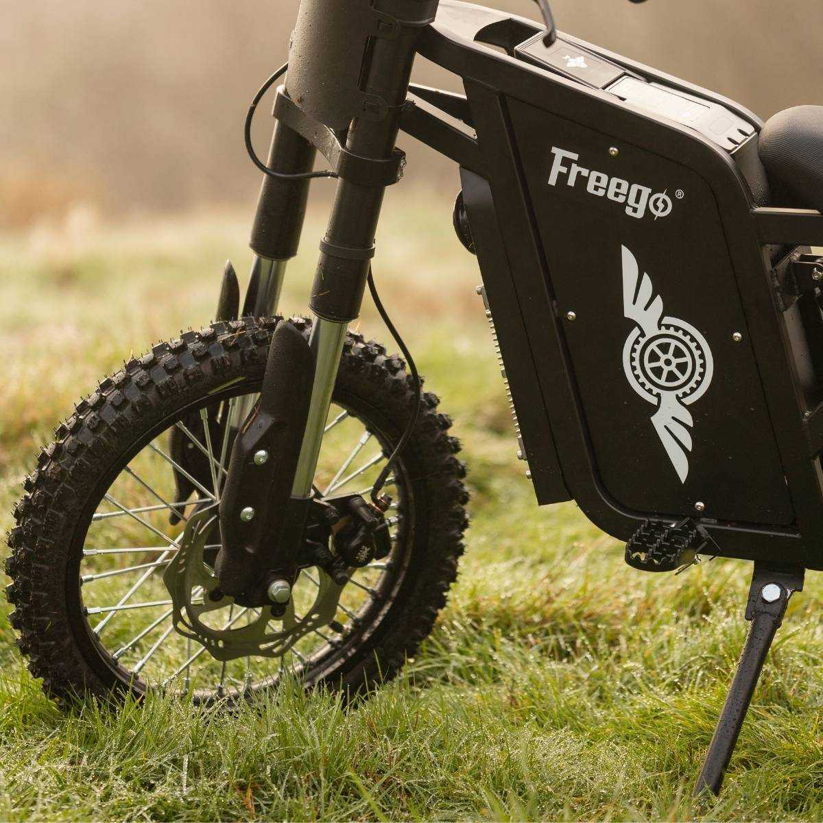 Freego X0 Electric Mini Bike for Teens and Adults
