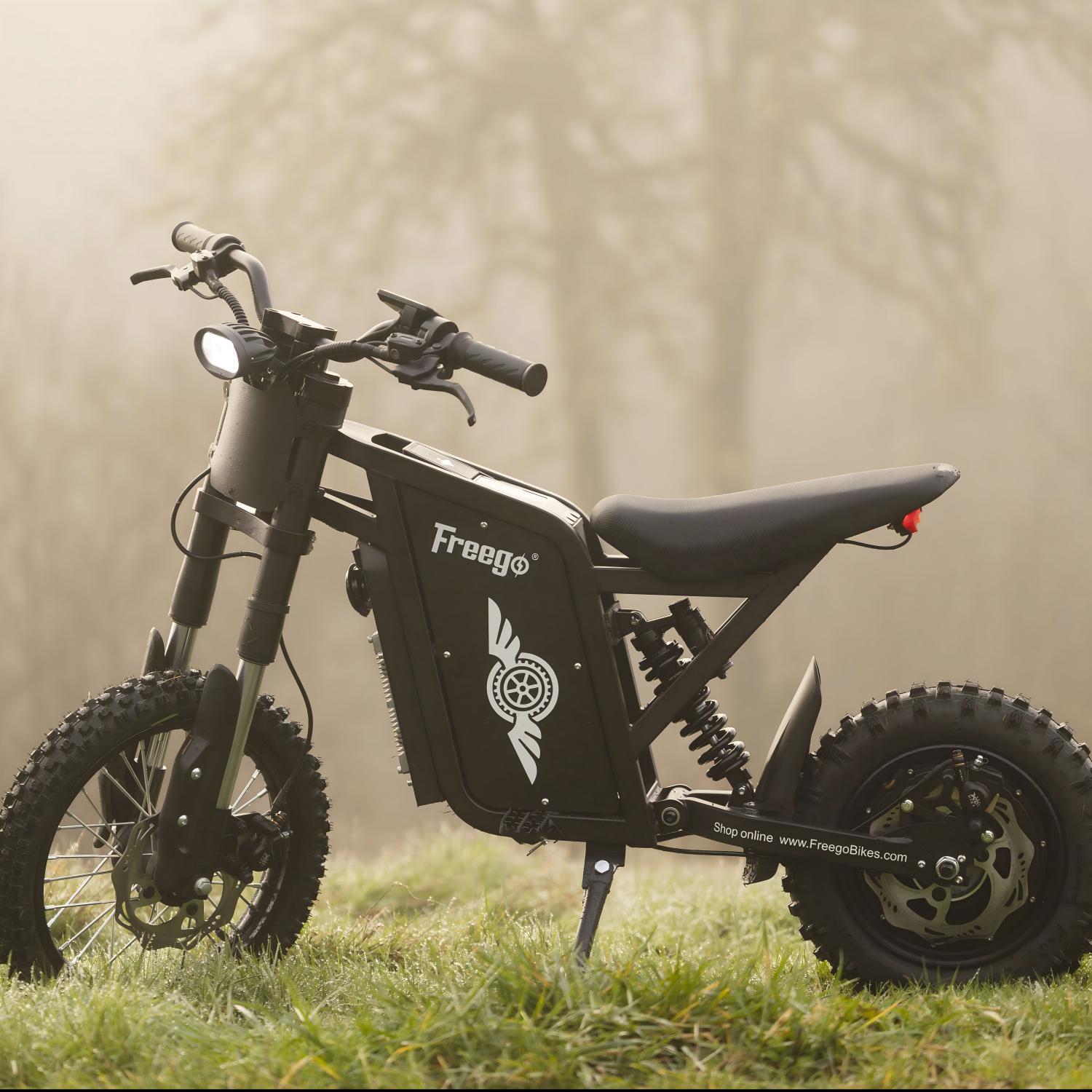 Freego X0 Electric Mini Bike for Teens and Adults