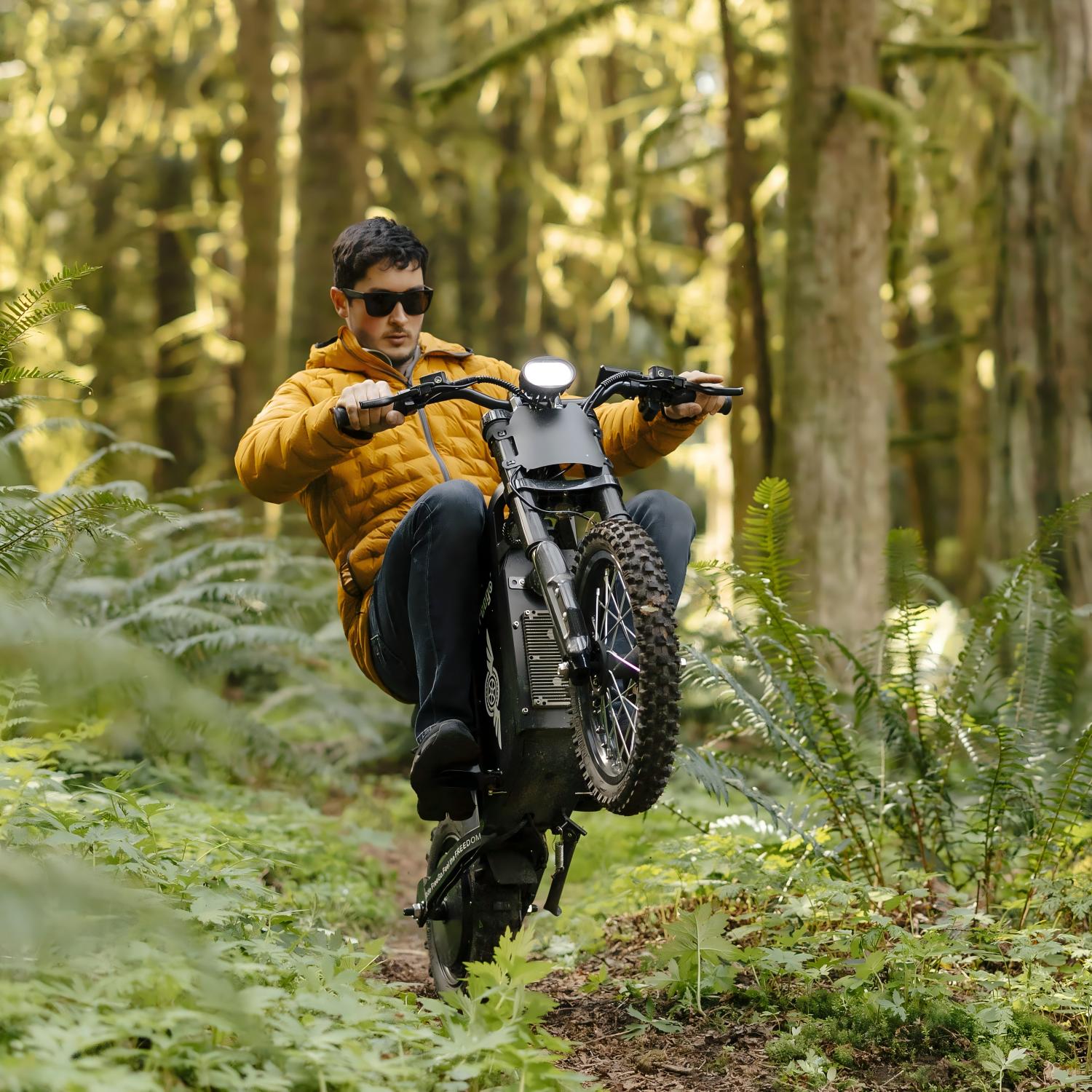 Freego X0 Electric Mini Bike for Teens and Adults