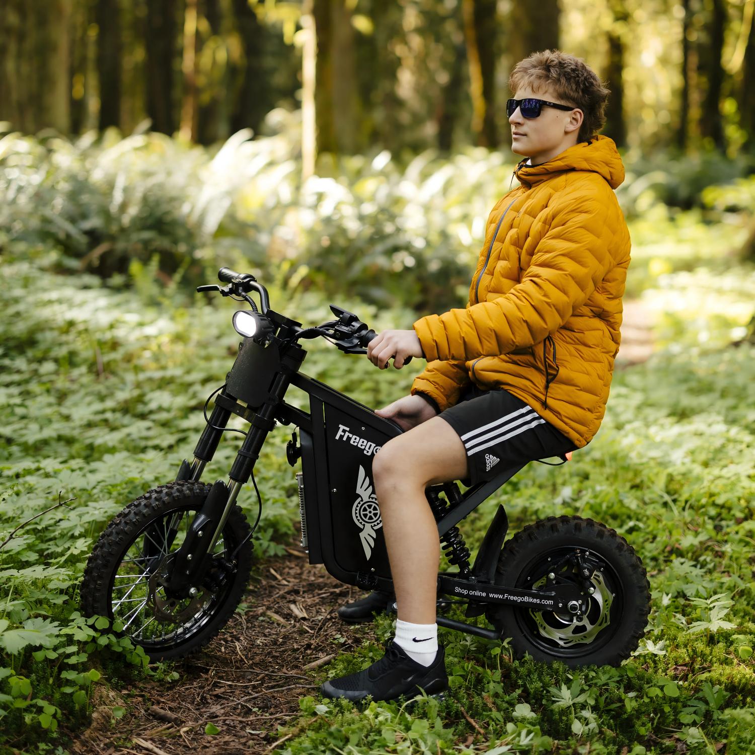 Freego X0 Electric Mini Bike for Teens and Adults