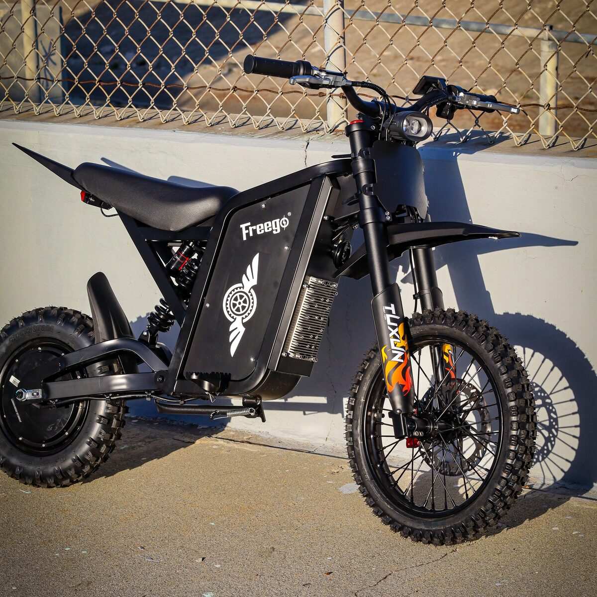 Freego X0 Electric Mini Bike for Teens and Adults