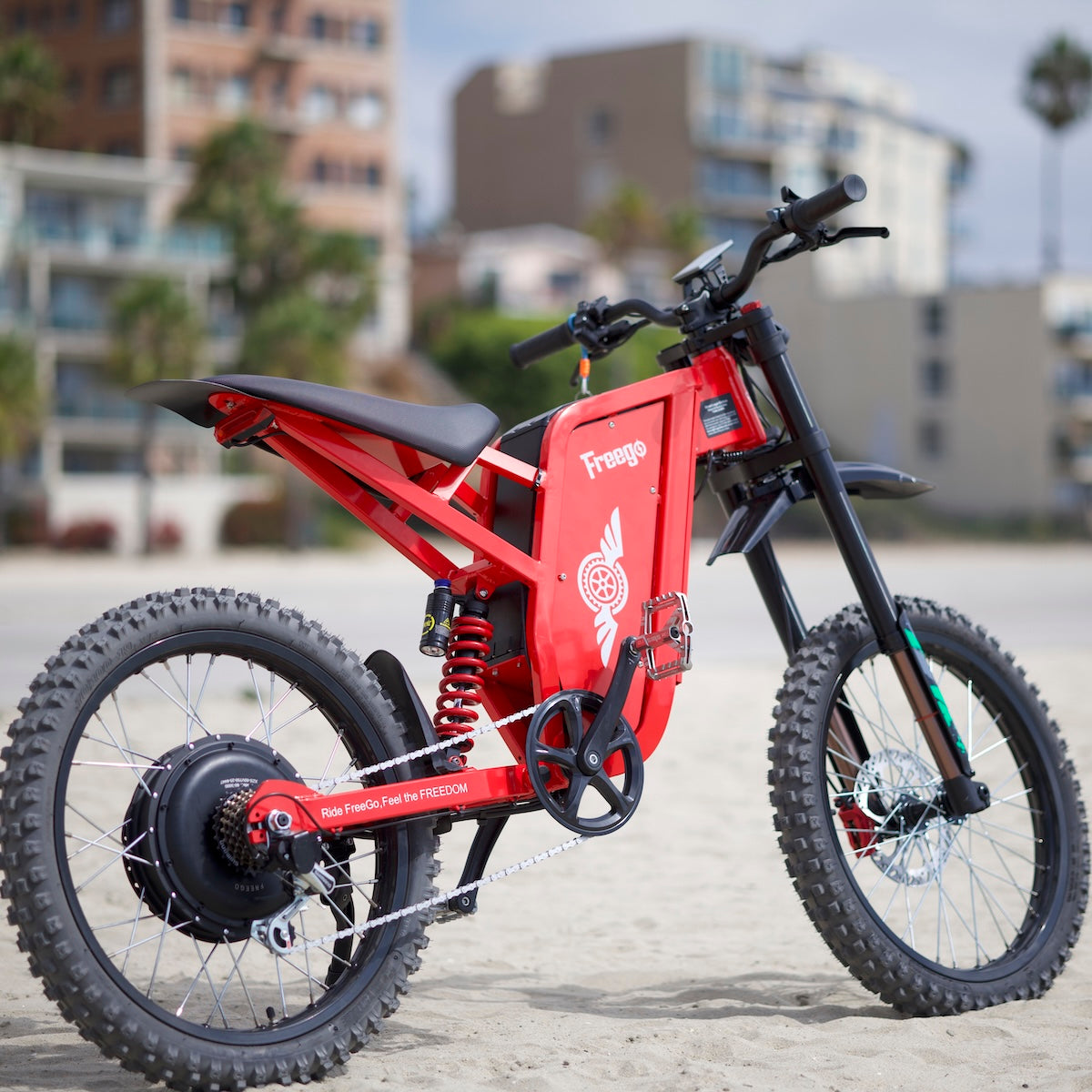 Freego X2 Pro All-Terrain Dirt eBike