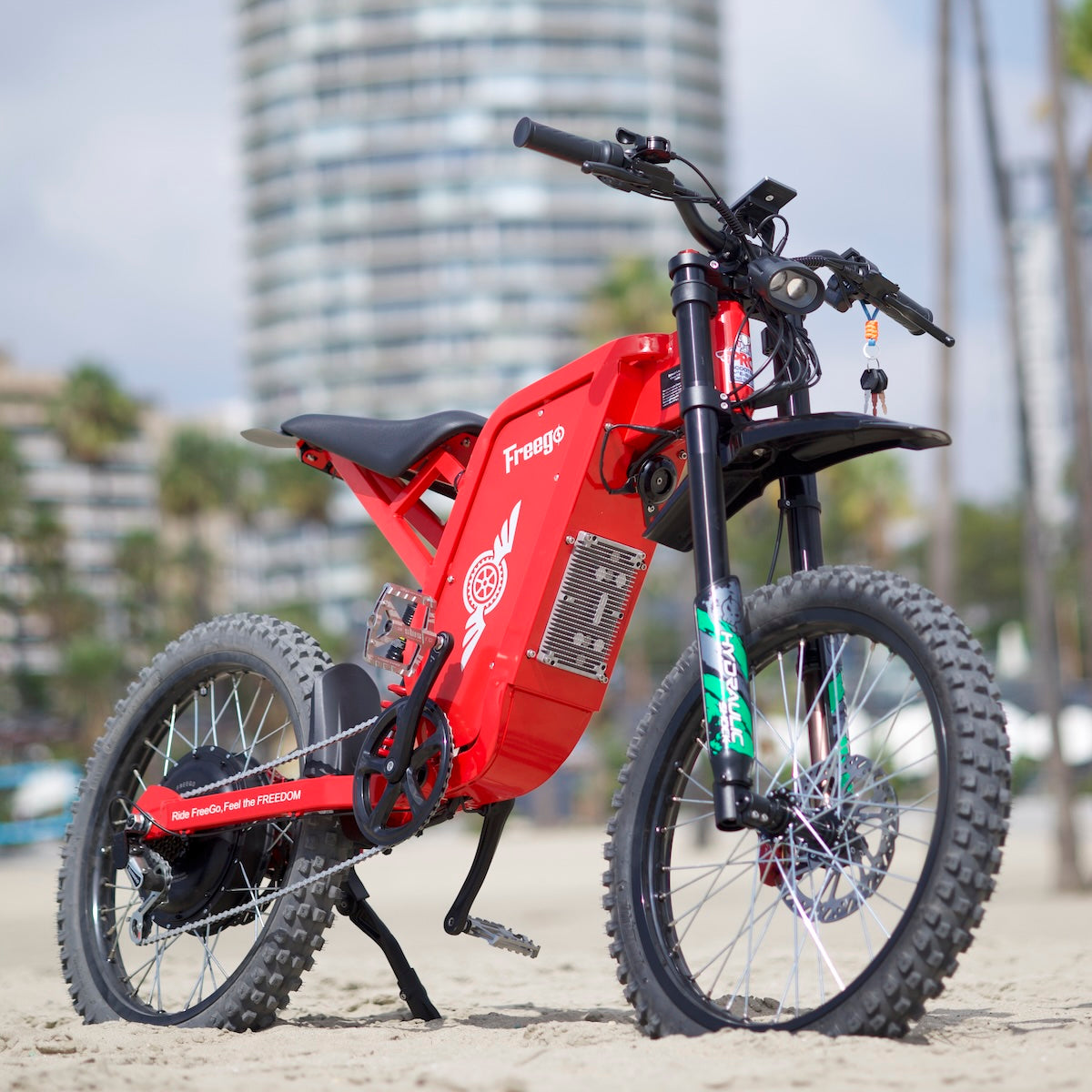 Freego X2 Pro All-Terrain Dirt eBike