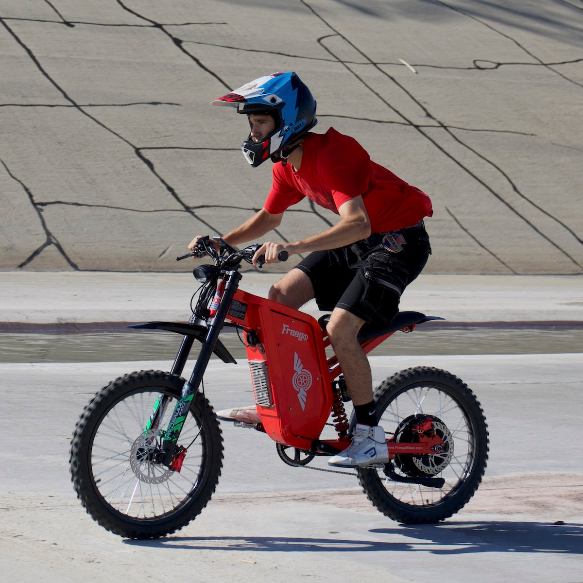 Freego X2 Pro All-Terrain Dirt eBike
