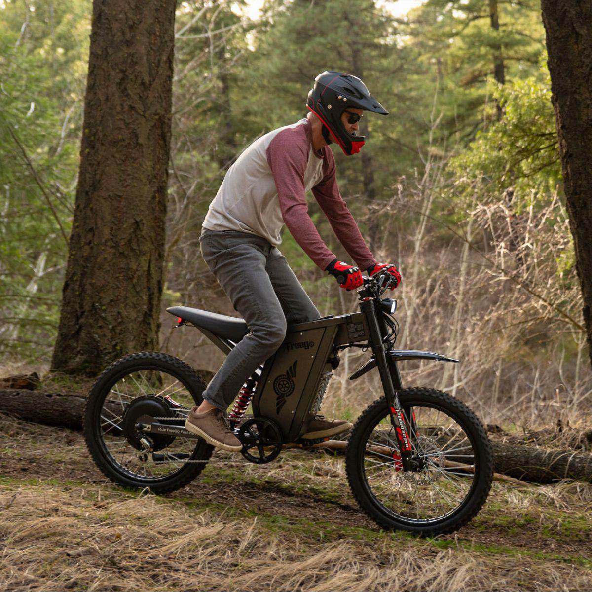Freego X2 Pro All-Terrain Dirt eBike