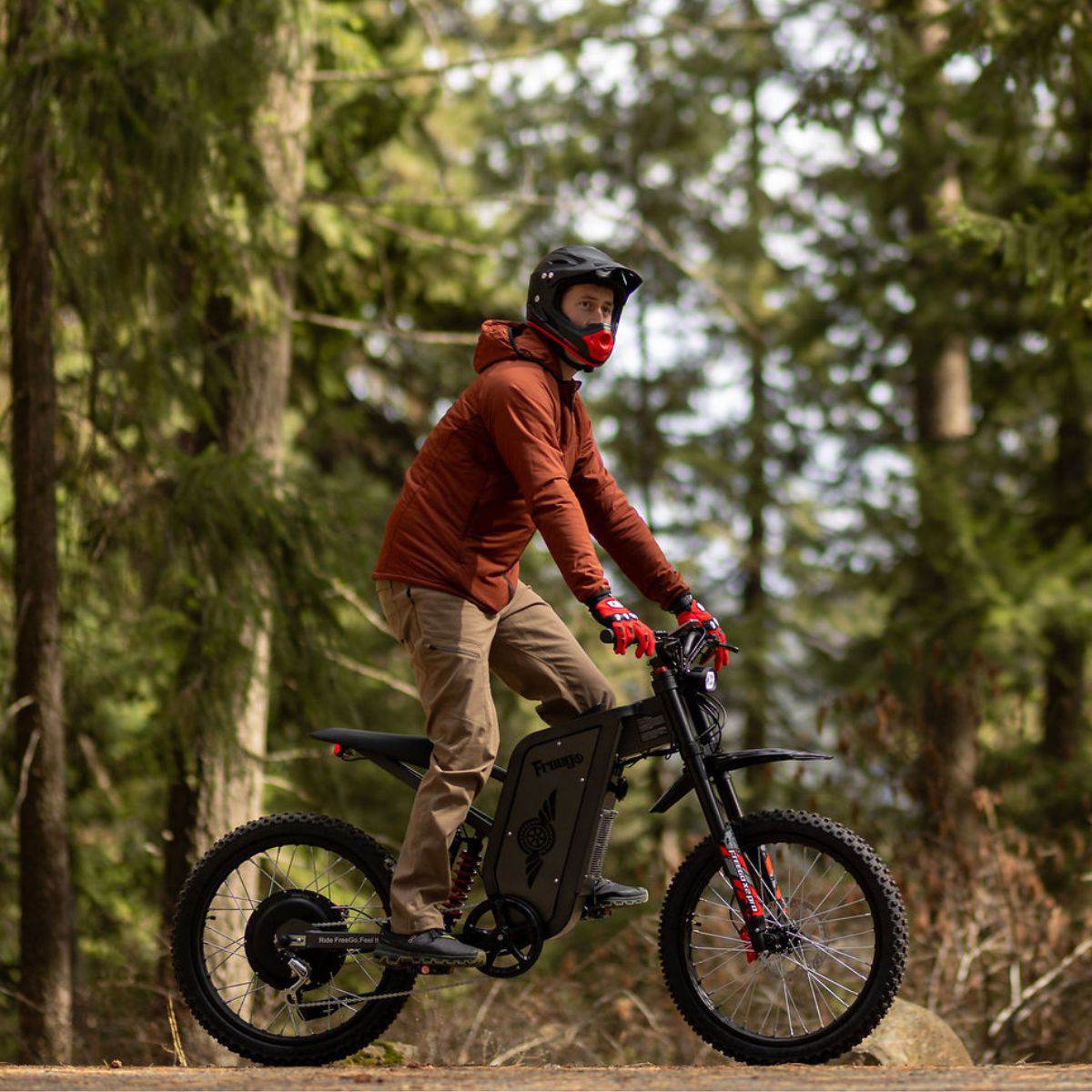 Freego X2 Pro All-Terrain Dirt eBike