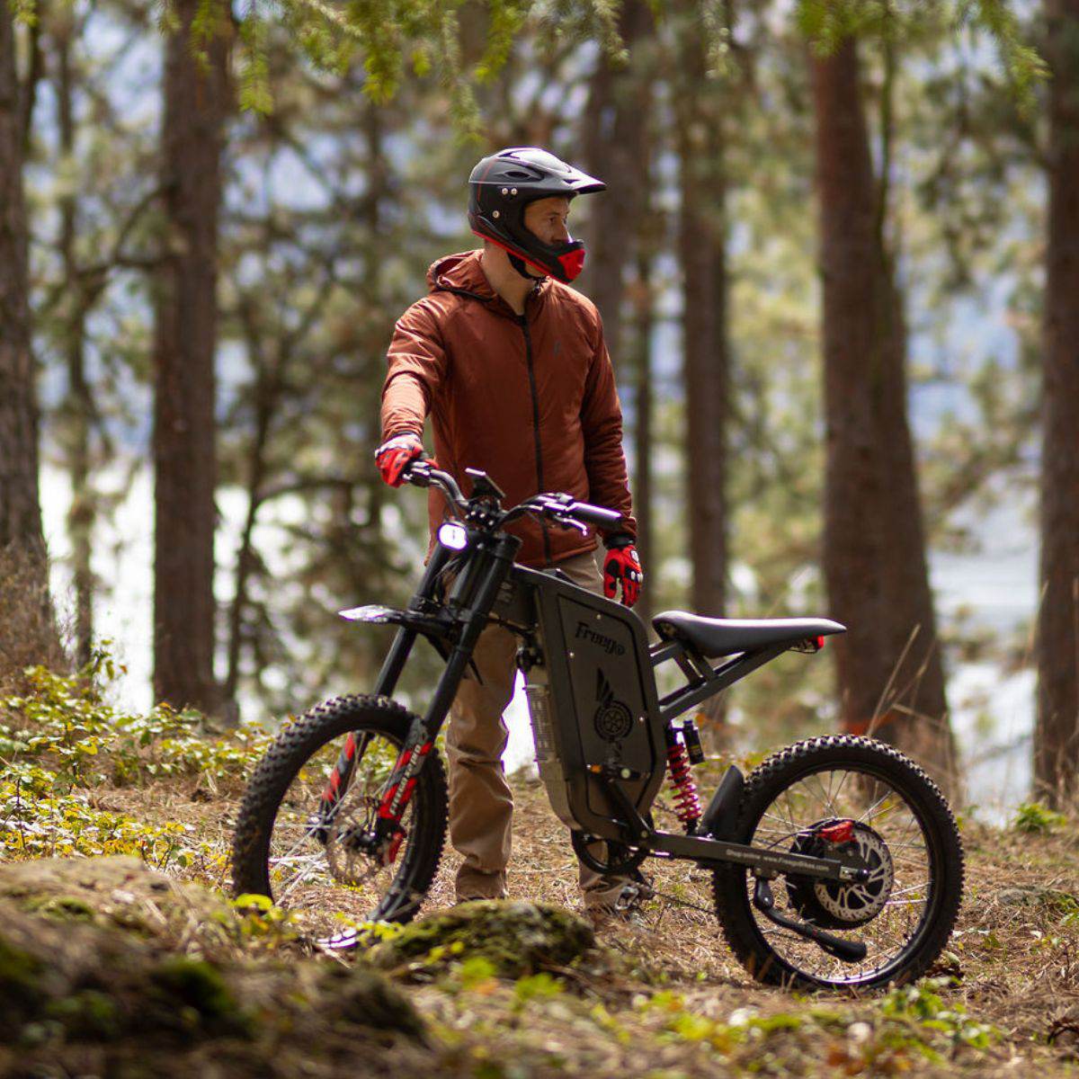 Freego X2 Pro All-Terrain Dirt eBike