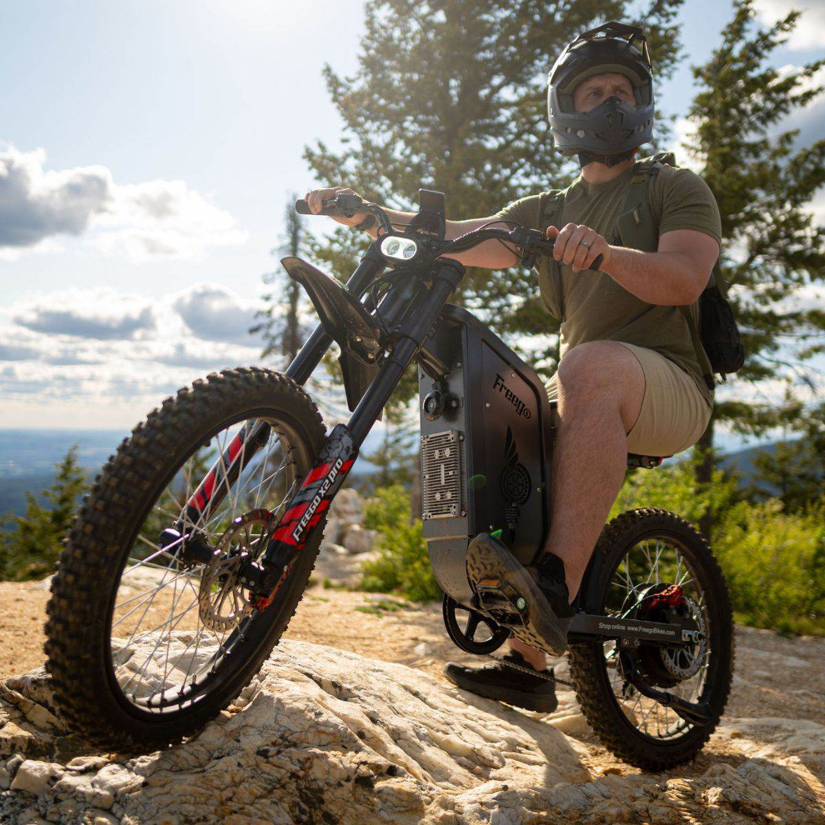 Freego X2 Pro All-Terrain Dirt eBike