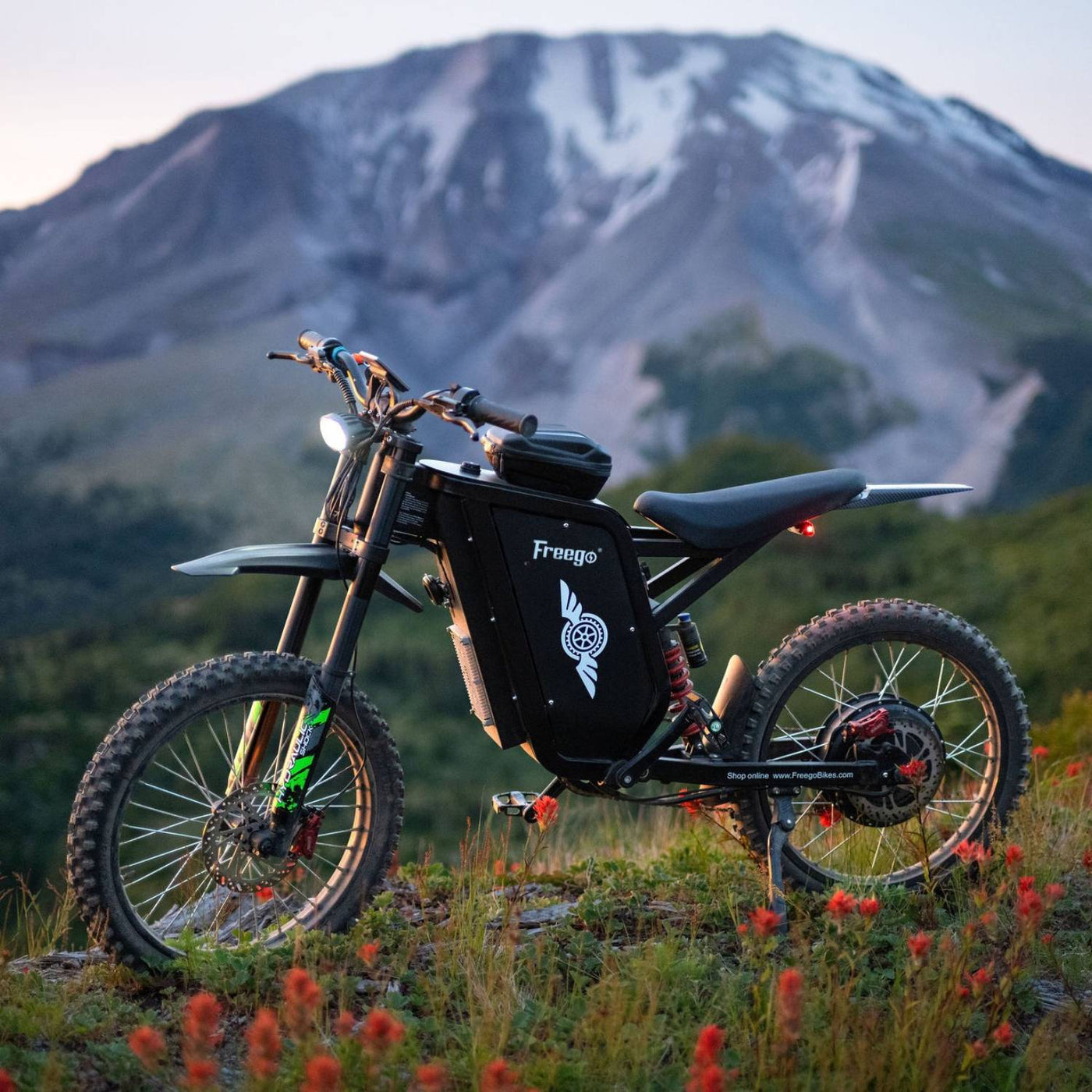Electric Bikes