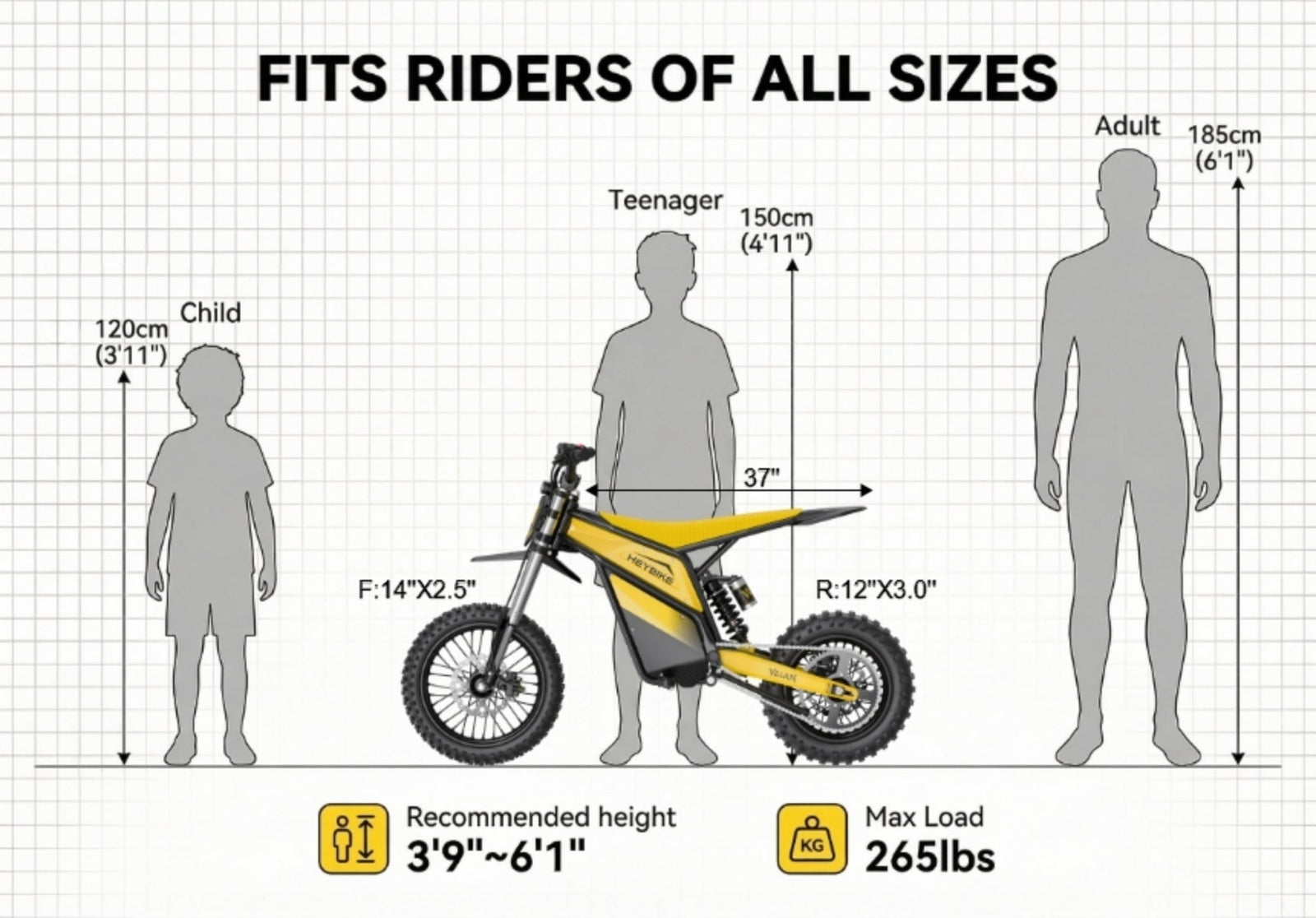 Heybike Electric Dirt Bike
